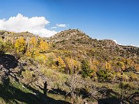 Panorama de otoño