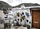 1506254 232134400293808 123450757 o. © 2013 Maestros en La Alpujarra.