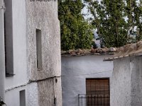 10389009 323221717851742 7583039442508027406 n