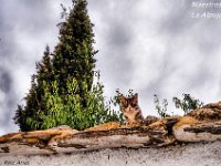 10551686 322617544578826 2211210874456739657 o