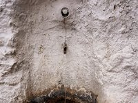 10600514 322607857913128 1362660519437307153 n