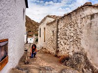 10616271 322677871239460 1933544076803200418 n