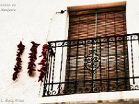 1654742 323311381176109 2733819919657652102 o